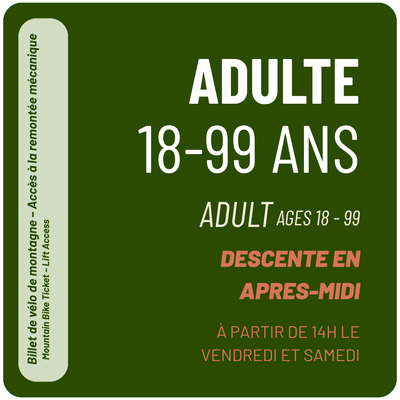 Afternoon Lift Ticket - Adult ages 18+